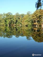 Lake Lawson/Lake Smith Natural Area