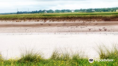 Truro Tidal Bore Viewing Visitor Centre