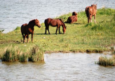 Bahía del Somme