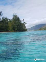 Aquablue Moorea Classical Diving