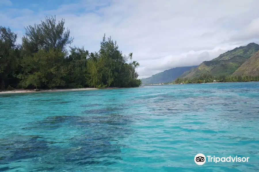 Aquablue Moorea Classical Diving