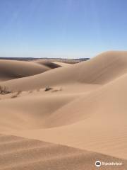 Reserva de la Biosfera El Pinacate y Gran Desierto de Altar