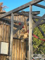 Camperdown Wildlife Centre