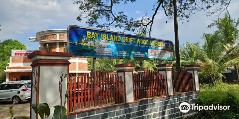 Bay Island Driftwood Museum