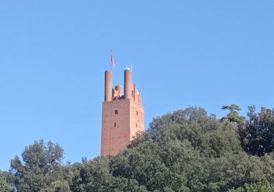 Rocca Federico II