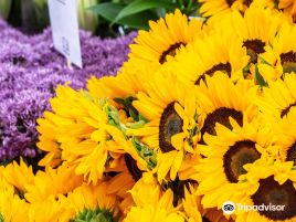 Chiswick Flower Market