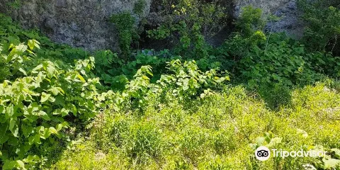 岡島洞窟遺跡