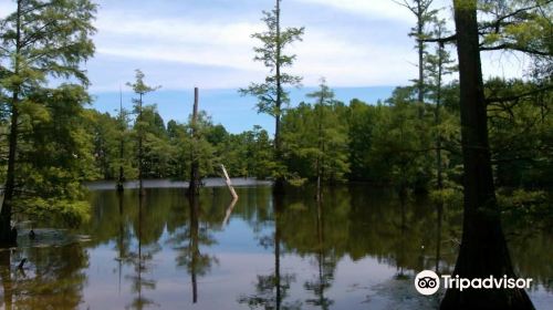 LeFleur's Bluff State Park