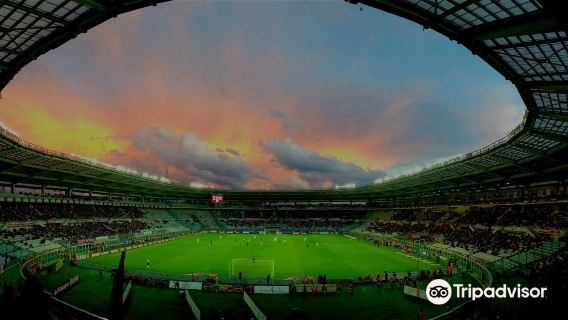 Royal Palace of Turin + Torino Olympic Stadium + Racconigi Castle + Valentino Castle