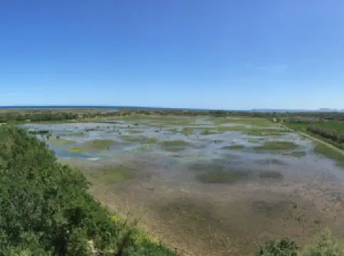 Aiguamolls de l'Empordà