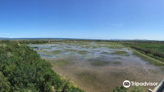 Aiguamolls de l'Empordà