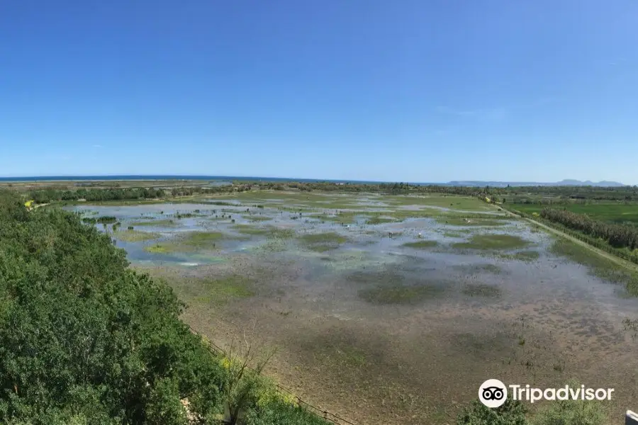 Parc naturel des Aiguamolls