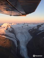 Alaska Bear Expeditions