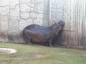 Acuario de Natal