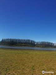 Reserva Nacional Lago Penuelas