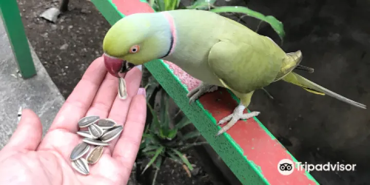 Parque Regional Metropolitano