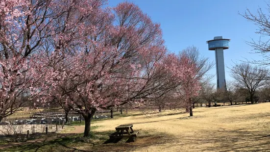 Kodai Hasu No Sato (Ancient Lotus Park)