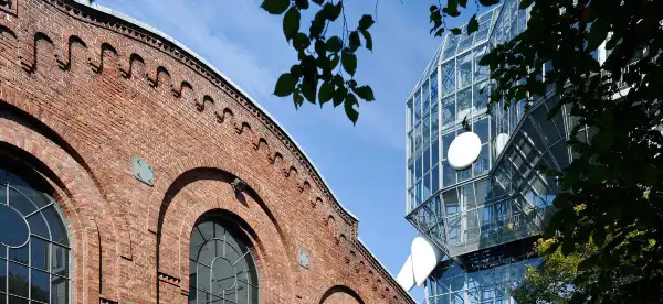 Hamm