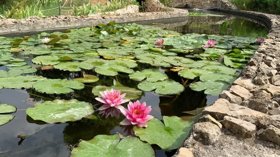 Les Jardins du MIP