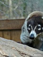 キャピタル・オブ・テキサス動物園