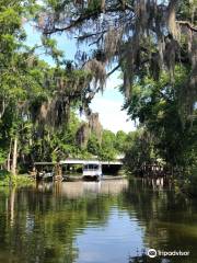 Mount Dora Boating Center and Marina