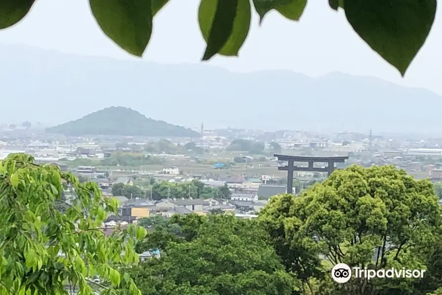 大美和の杜展望台