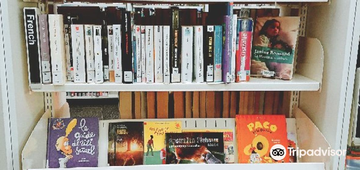 Beerwah Travel Guide 2024 Things to Do, What To Eat & Tips