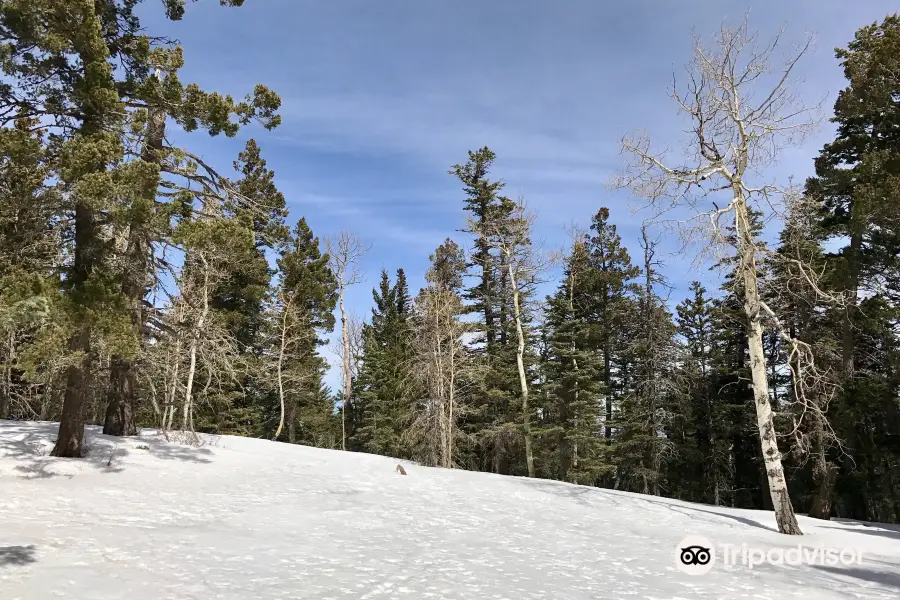 Sandia Trails