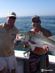 Fish Pier Charters