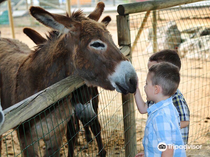 LES PETITS FERMIERS - Parc animalier et de loisirs - Lansargues