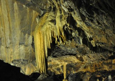 Mitchelstown Cave