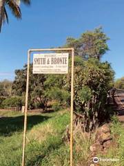 Smith and  Bronte Landing Site