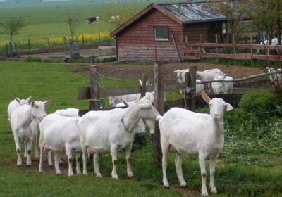 Boerderij 't Geertje