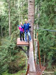 Treehouse Island Zipline Adventures