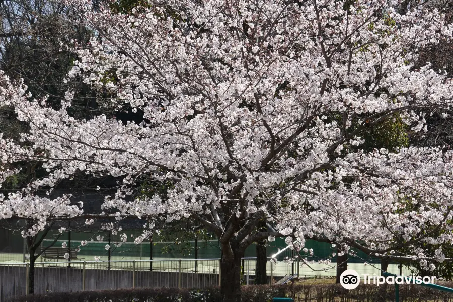 Daimaru Park