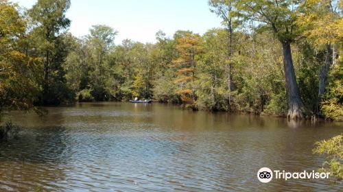 Becks Lake Fish Camp