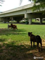 Dog Spot dog park