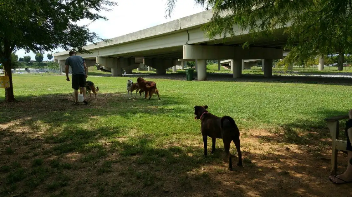 Hotels near Dog Spot dog park