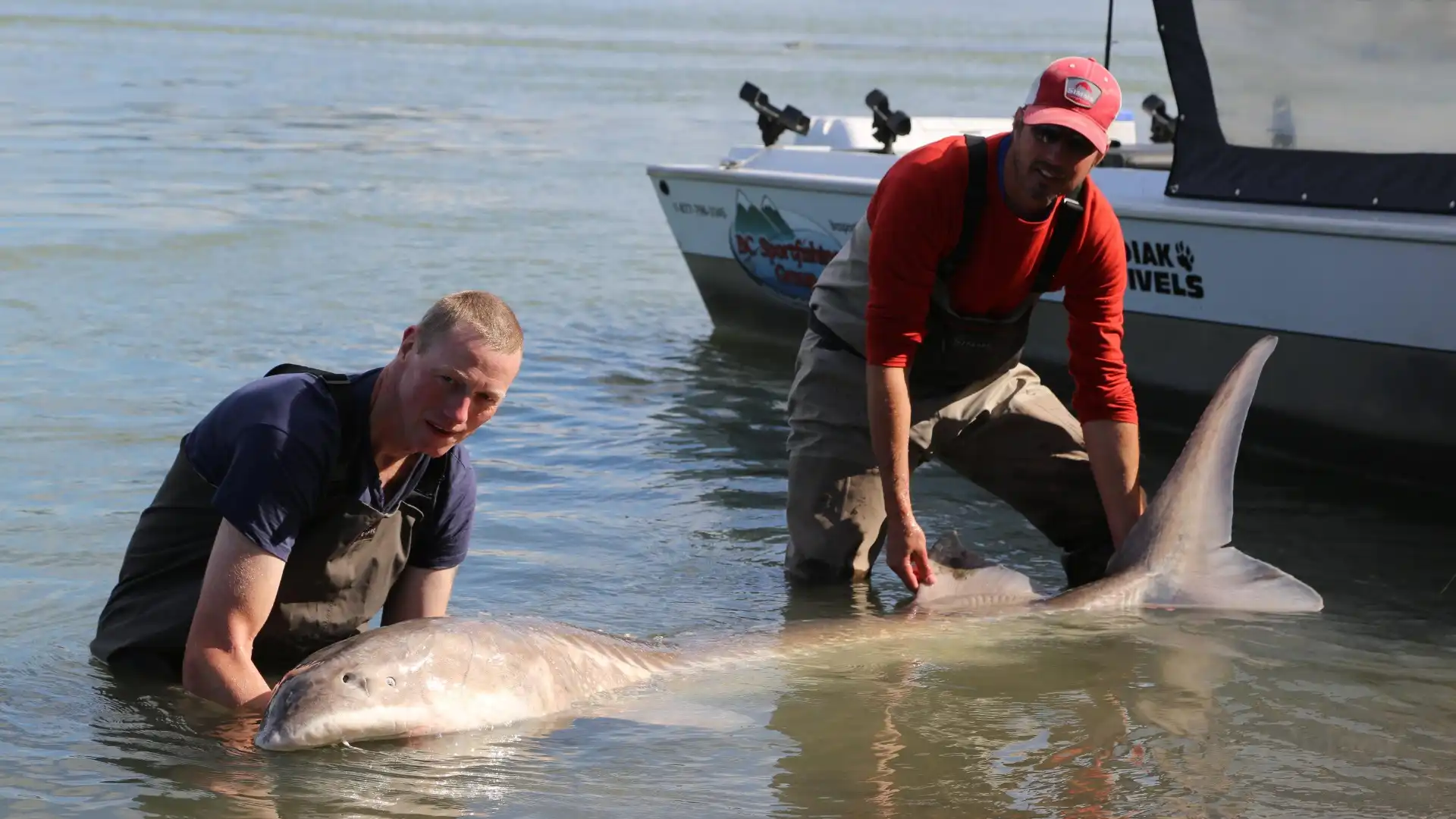 Hotels near BC Sportfishing Group