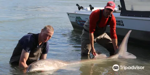 BC Sportfishing Group