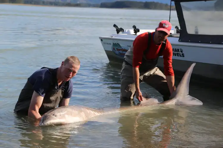 Hotels near BC Sportfishing Group