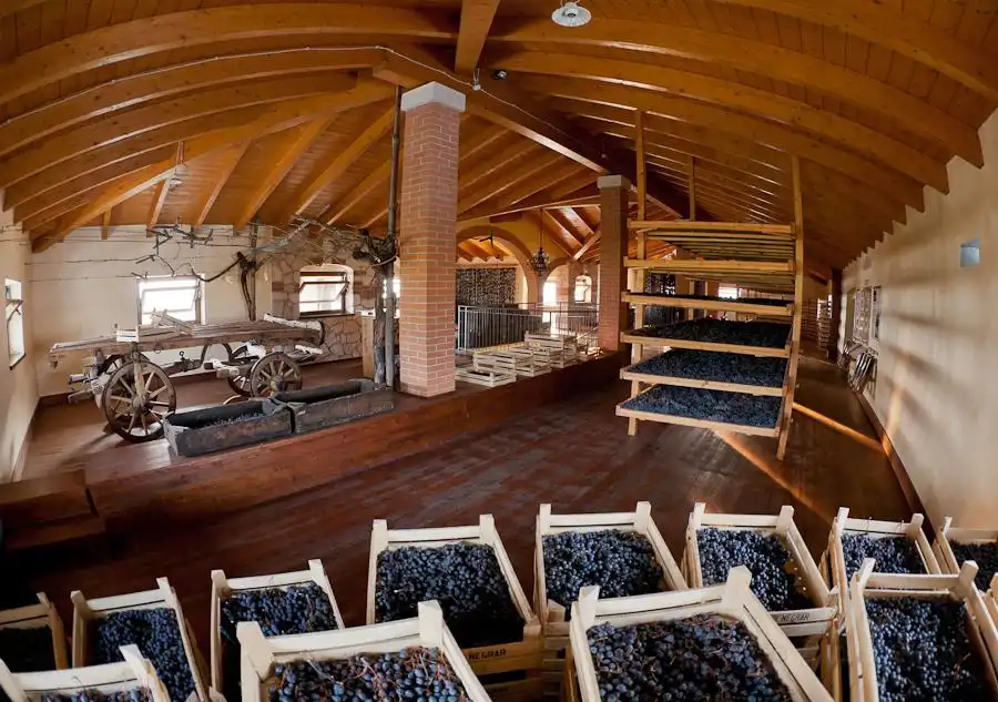 Hotel in zona Cantina Valpolicella Negrar