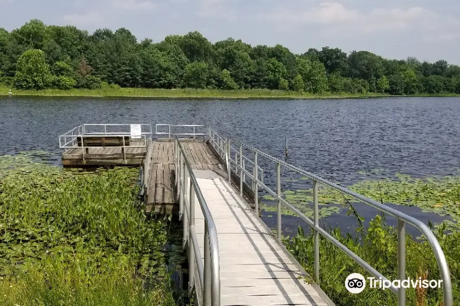 Lake Artemesia