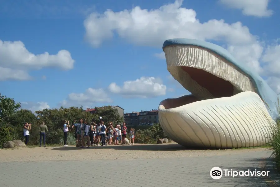 Ocean Park Władysławowo