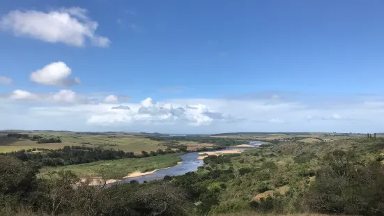 Harold Johnson Nature Reserve