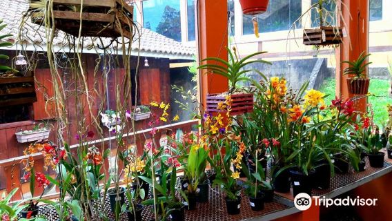 Orquidário MV