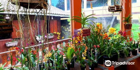 Orquidário MV