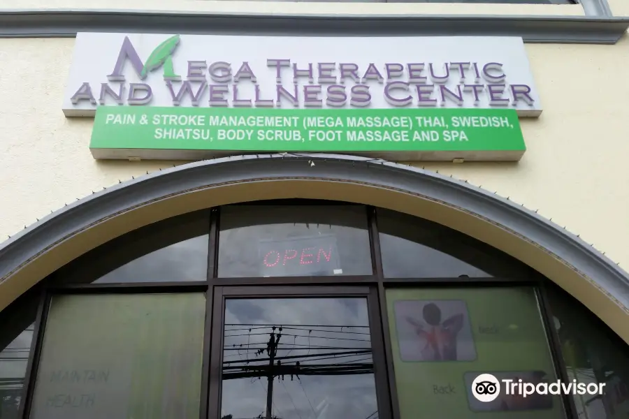 Mega Therapeutic & Wellness Center