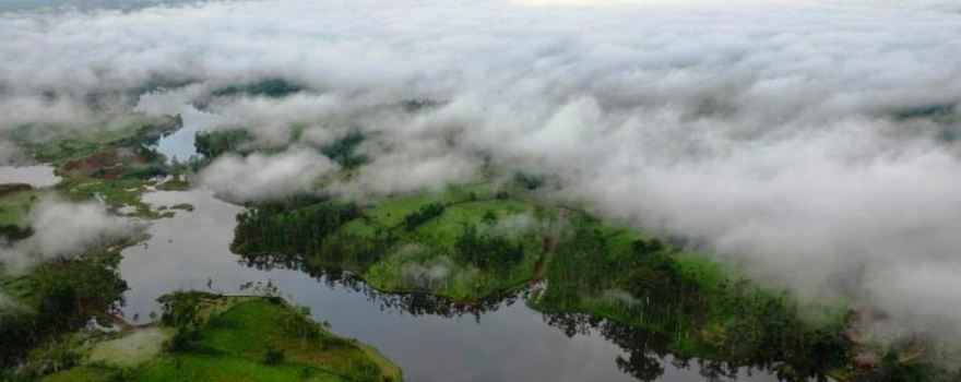 Boca Arenal