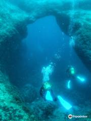 Buceo Barracuda